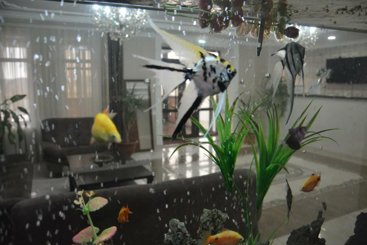 Hotel Korkem 3*, Nur-Sultan (Astana)